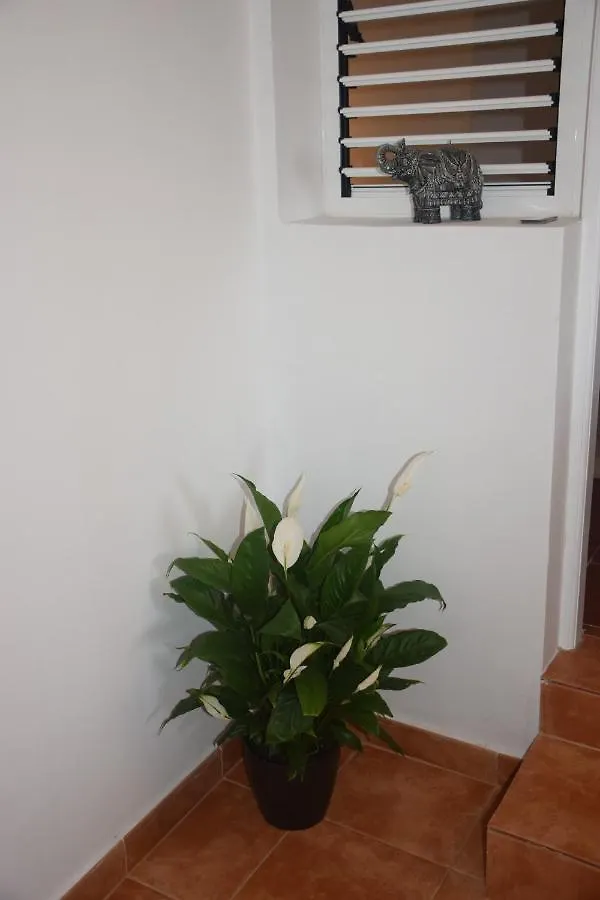 Garoe Acogedor Apartamento Araya